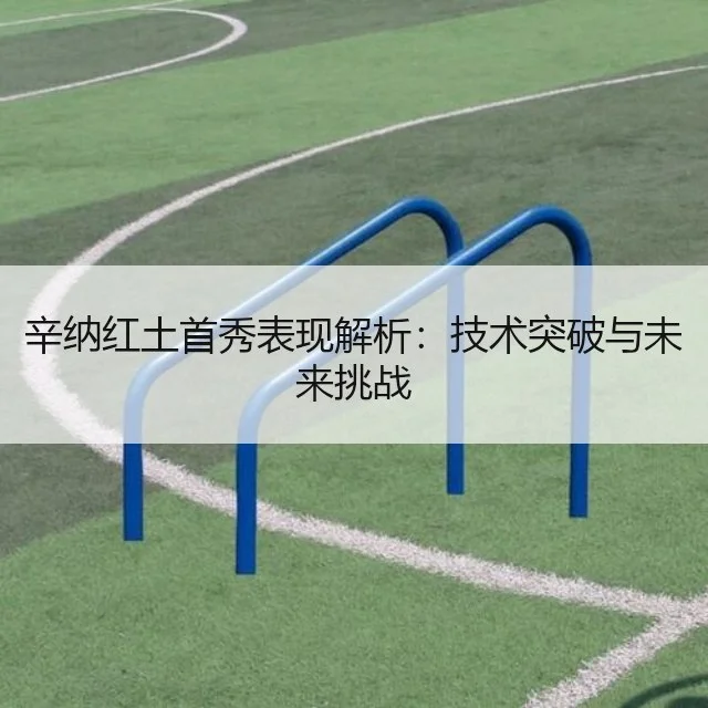 辛纳红土首秀表现解析：技术突破与未来挑战